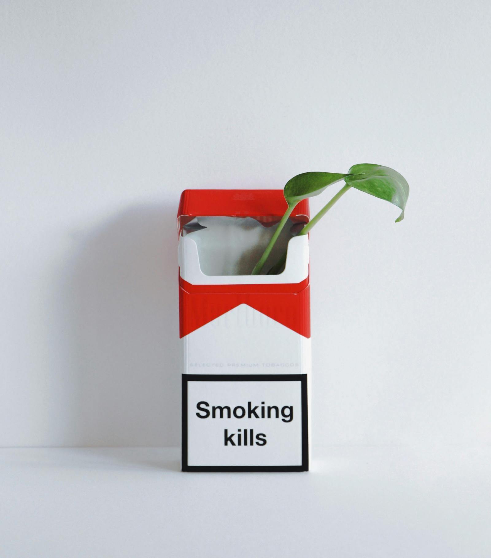 Empty cigarette packet with a warning message: smoking kills
