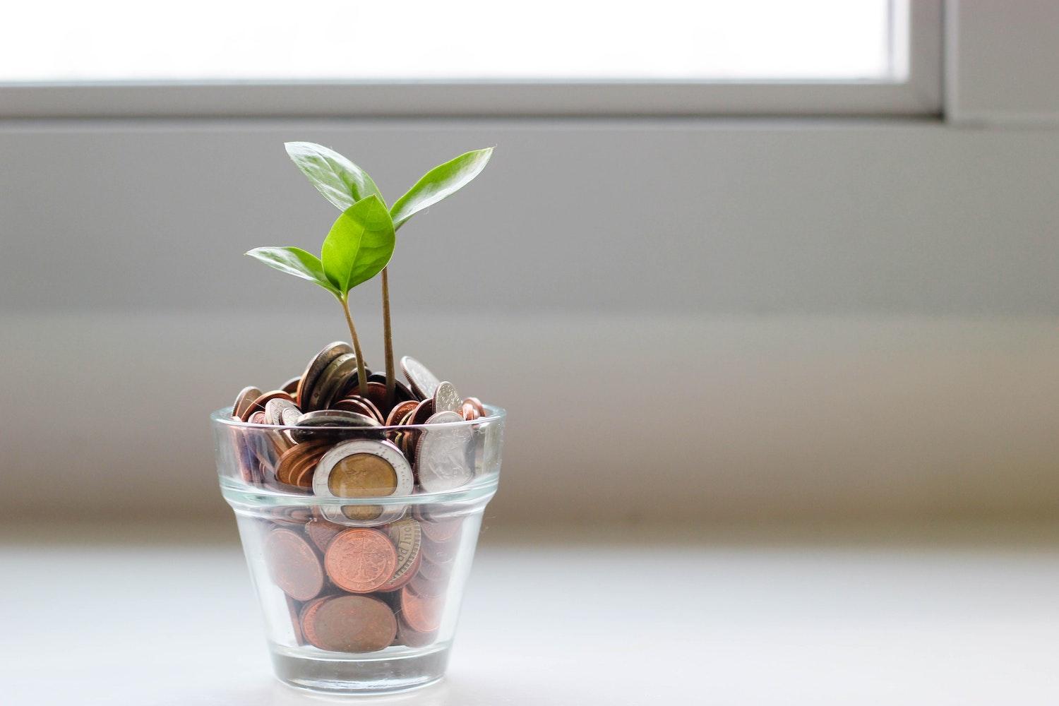 Image of plant growing out of a glass jar filled with coins