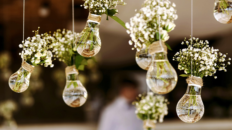 White flowers sitting in lightbulbs hanging from a ceiling.