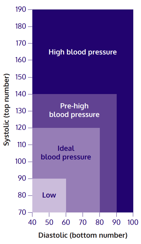 blood pressure diagram