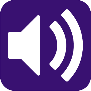 audio speaker icon