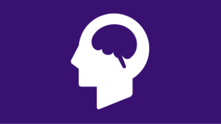 Icon of a brain in a head